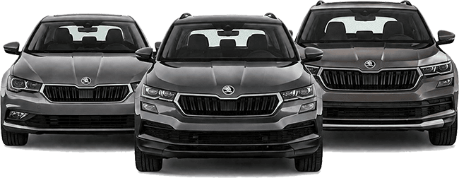 Профильный ремонт и сервис SKODA